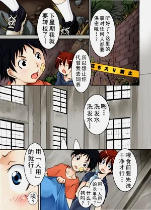 第4页图