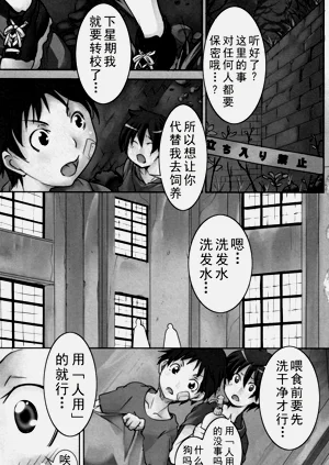 第40页图
