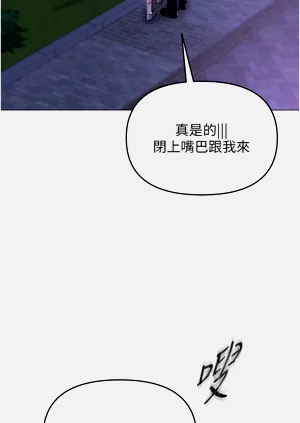 第203頁圖