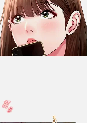 第311頁圖