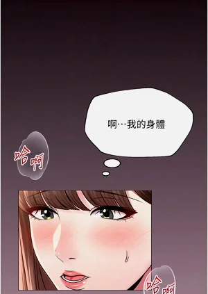 第331頁圖