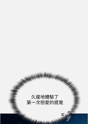 第381頁圖