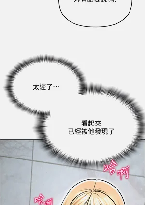 第451頁圖