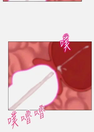 第457頁圖
