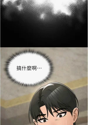 第493頁圖