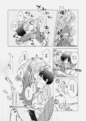 第11頁圖