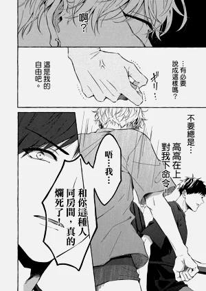第20页图