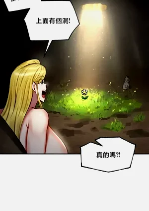第71頁圖