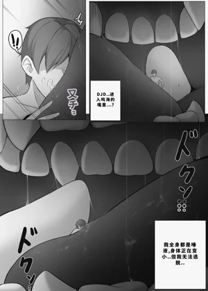 第244頁圖