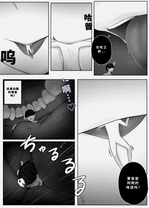 第295頁圖