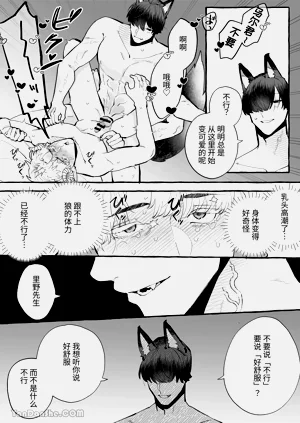第11页图