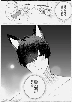 第48页图