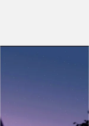 第251頁圖