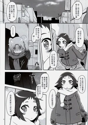 第4页图