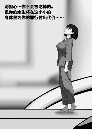 第211頁圖