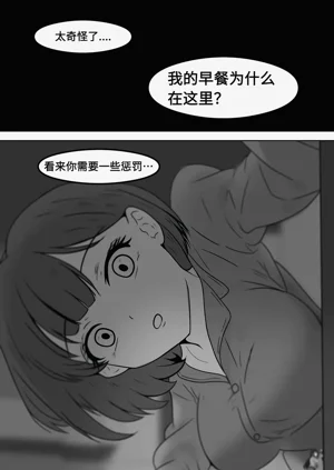 第217頁圖