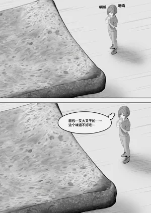 第285頁圖
