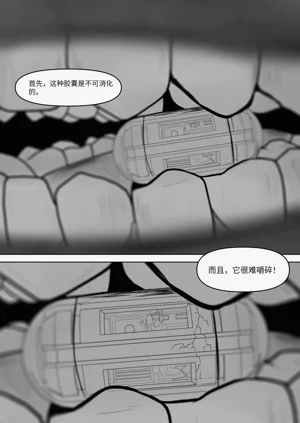 第31頁圖