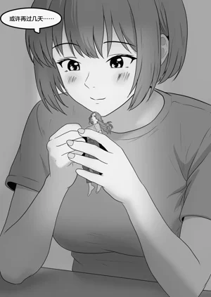 第316頁圖