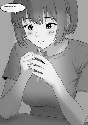 第317頁圖
