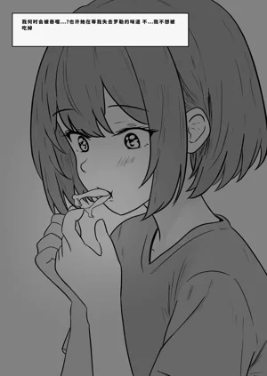 第333頁圖