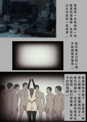 第11页图