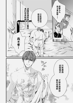 第52頁圖