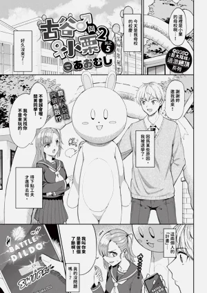 第245页图