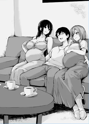 第223頁圖