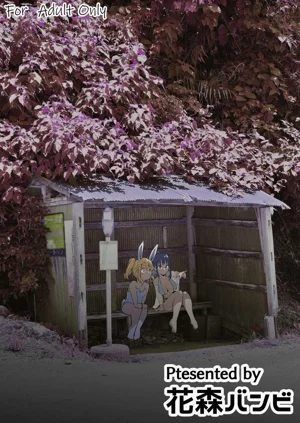 第285頁圖