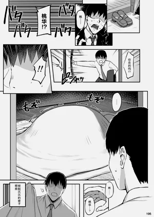 第195頁圖