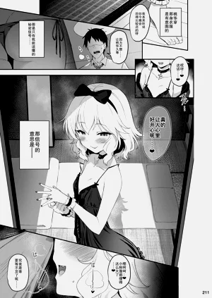 第211頁圖