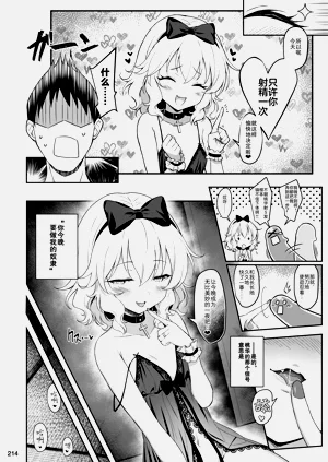 第214頁圖