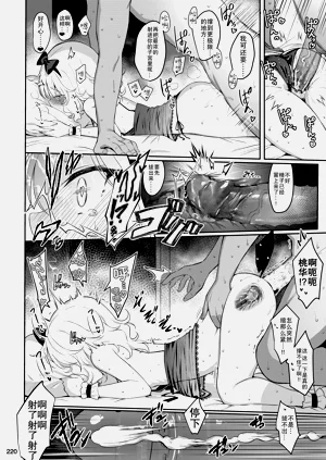 第220頁圖