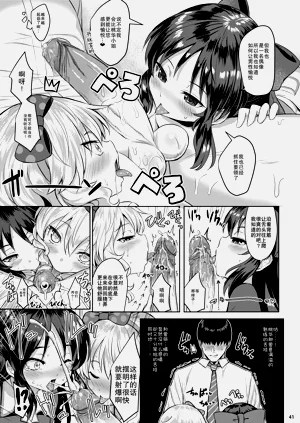 第41頁圖
