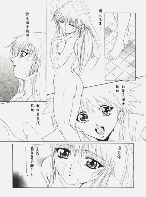 第13页图