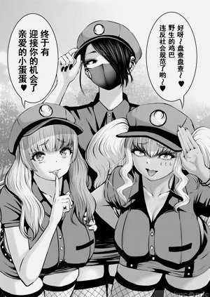第535頁圖