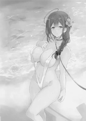 第2页图