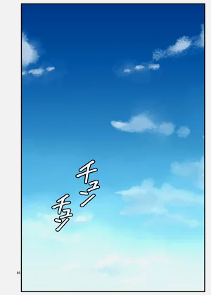 第85頁圖