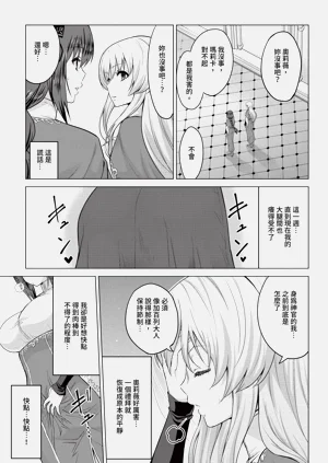 第213頁圖