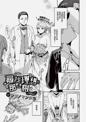 第237页图