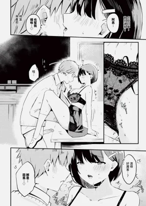 第528页图