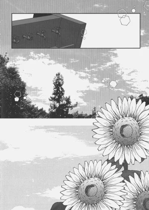 第33頁圖