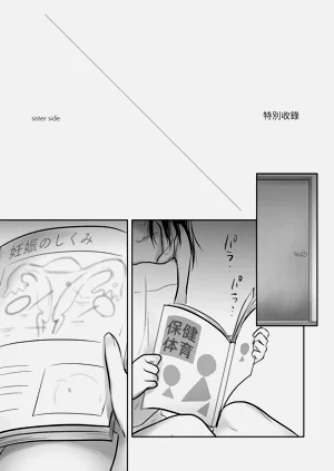 第95頁圖