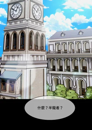 第255頁圖