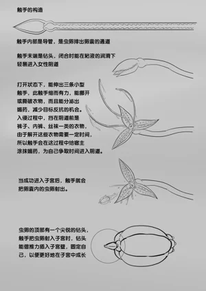 第131頁圖