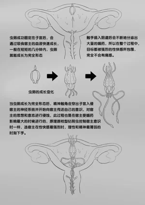 第132頁圖