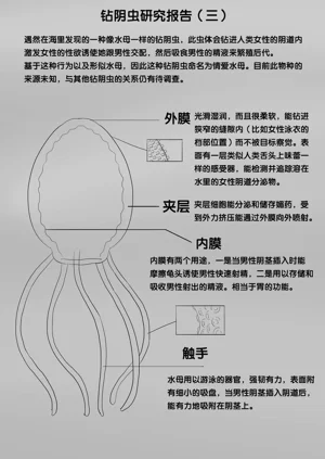 第134頁圖