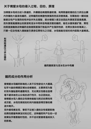 第135頁圖