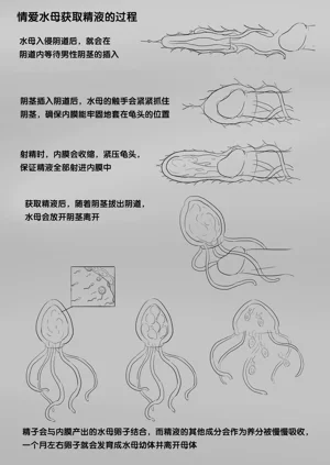 第136頁圖